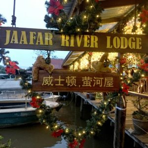 威士頓紅樹林生態區